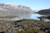 Les scientifiques de l’université de Buffalo (États-Unis) ont parcouru les régions éloignées du Groenland pour collecter des échantillons de roche et de boue du fond des lacs. Ils fournissent des indices sur les marges anciennes de la calotte glaciaire. © Jason Briner, Université de Buffalo
