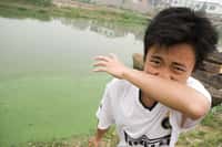 Un jeune homme&nbsp;qui vit près du lac Chao, en Chine avec sa famille. L'odeur générée par les algues est à peine supportable dans cette région. Régulièrement, l'efflorescence algale se produit lorsque des nitrates et des&nbsp;phosphates sont lâchés dans les eaux. ©&nbsp;eutrophication&amp;hypoxia, Flickr, cc by 2.0
