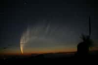 L'astronome Robert H. McNaught était le mieux placé pour photographier « sa » comète depuis l'observatoire australien de Siding Spring au début de l'année 2007. Découvert quelques mois plus tôt, ce qui explique sa dénomination (C/2006 P1), cet astre chevelu est désormais le plus grand connu. Crédit R. H. McNaught   
