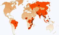 Les pays colorés en rouge cumulent 80% des cas de tuberculose connus dans le monde. © Stop TB Partnership