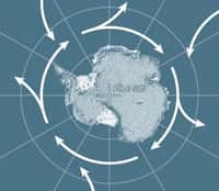 L'expédition Polar Pod devrait réaliser un tour complet de l'Antarctique, le long du courant circumpolaire austral, dont la boucle atteint 24.000 km. C'est un rouage clé pour la mécanique des océans mondiaux, opérant la jonction entre l'Atlantique, le Pacifique et l'océan Indien. Pourvoyeur d'eau froide qui s'écoule en profondeur et générateur d'air froid, il joue aussi un rôle important dans les interactions entre l'atmosphère et l'océan. © DR