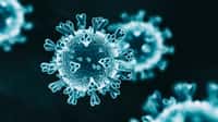 Les virus utilisent des protéines structurellement comparables aux protéines de leur hôte pour mieux les infecter. © koto_feja, IStock.com