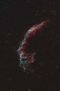 Une partie des Dentelles du Cygne ; les filaments gazeux voyagent dans l'espace depuis l'explosion de la supernova il y a plusieurs dizaines de milliers d'années. Crédit Lucien Marcot
