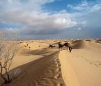 Sous le désert du Sahara gisent de gigantesques nappes d’eau.&nbsp;Les prélèvements anthropiques et naturels représentent plus du double des apports. © V. Simonneaux, IRD