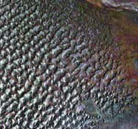 Cette image du désert de Gobi a été acquise le 6 août 2009 par le radar à ouverture synthétique d'Envisat (Asar). Ce désert est connu pour abriter de nombreux fossiles. C'est ici qu'ont été découverts les premiers œufs de dinosaures. Crédit Esa