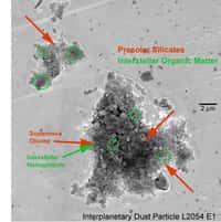 Particules de poussière interplanétaires avec des  grains de silicate pré-solaire et de la matière organique d'origine interstellaire. Crédit : H Busemann