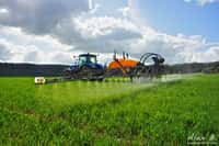 En France, environ 36.000 t de fongicides, 26.000 t d’herbicides, 2.000 t d’insecticides sont utilisées chaque année. © AgroParisPictures, Flickr, cc by sa 2.0