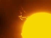L'éruption solaire du 16 avril photographiée par un télescope amateur depuis la Californie. © Jim Lafferty/Spaceweather.com
