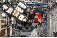 L’astronaute Paolo Nespoli utilise la caméra 3D ERB-2. © Esa
