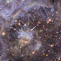 VFTS 102, l'étoile dont la rotation sur elle-même dépasse les 2 millions de km/h, se trouve dans la nébuleuse de la Tarentule. © ESO/M.-R. Cioni/Vista Magellanic Cloud survey
