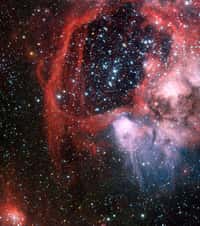 L'amas d'étoiles NGC 1929 est entouré d'une superbulle au sein du Grand Nuage de Magellan. © Manu Mejias/ESO