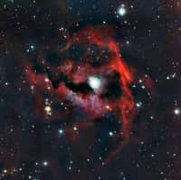 Cette vue détaillée de la tête de la nébuleuse de la Mouette (Sharpless 2-292) a été réalisée par la caméra WFI (Wide Field Imager) sur le télescope de 2,2 m MPG/ESO. © ESO
