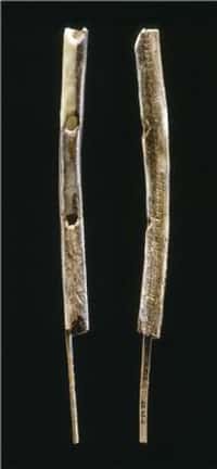 Cette flûte à deux trous en ivoire de mammouth aurait entre 42.000 et 43.000 ans. Elle a été découverte dans la grotte de Geißenklösterle dans le Jura Suabe, dans le sud-ouest de l'Allemagne. © University of Tübingen