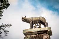 Statue de la louve nourrissant Romulus et Rémus, personnages clés de la fondation de Rome, selon la légende. © MangAllyPop@ER, Fotolia