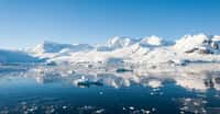 La mer de Scotia en Antarctique réunit les conditions pour faire des découvertes importantes sur la vie et le climat du passé. © Asya M Adobe Stock