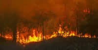 De méga-incendies ravagent la planète. La Nasa suit les fumées qu’ils provoquent grâce à ses satellites. © toa555, Adobe Stock