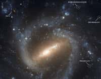 La galaxie NGC 1073 et ses alentours sont révélés dans cette nouvelle image produite par le télescope spatial Hubble. © Nasa/Esa