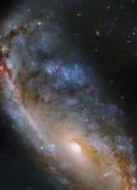 En 2006, le télescope spatial Hubble continuait d'étudier le bras de NGC 2442 où sept ans plus tôt une supernova avait explosé. © Nasa/Esa/ESO