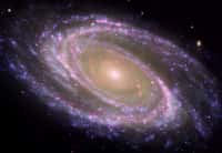 La galaxie spirale M81, située à 11,84 milliards d'années-lumière, dont le bulbe galactique est visible au centre. © Nasa, ESA