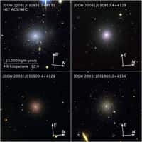 Examinées plus en détails, les galaxies naines de l'amas de Persée se révèlent très régulières. Crédit : Nasa, Esa, C. Conselice (université de Nottingham), Z. Levay (STScI)
