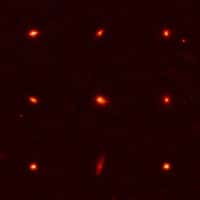 Les neuf galaxies ultradenses. Crédit : Nasa, ESA, P. van Dokkum (Yale University), M. Franx (University of Leiden), G. Illingworth (University of California, Santa Cruz and Lick Observatory)