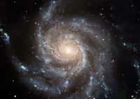Située dans la constellation de la Grande Ourse, à environ 21 millions d’années-lumière de notre Voie lactée, M101 est une galaxie spirale très étudiée. On la voit ici observée avec Hubble. © Nasa, Esa