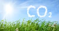 Capter le CO2 et le stocker dans les sous-sols est l’une des solutions étudiées pour nous aider à lutter contre le réchauffement climatique anthropique en cours. © oraziopuccio, Adobe Stock