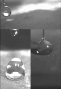 Capture tirée d’une vidéo de démonstration du MIT où l’on peut voir comment des gouttes d’eau rebondissent sur la surface nanotexturée puis roulent comme des billes sans laisser de trace. © Massachusetts Institute of Technology