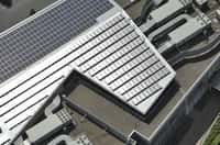 Détail des panneaux solaires sur le campus de Google. Crédit Google.