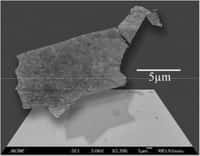 En haut, une feuille de graphène produite avec l'hydrazine vue au microscope à force atomique (ou AFM pour atomic force microscope). En bas, la même feuille examinée avec un microscope électronique à balayage. Crédit : Vincent Tung, Matthew Allen, Adam Stieg