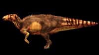 Reconstitution d'hadrosaure par les chercheurs de l'université de Manchester. Crédit Univ. de Manchester