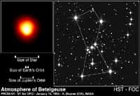 Bételgeuse est une supergéante rouge située dans la constellation d'Orion. Les dernières mesures la placent à une distance de 640 années-lumière du Soleil, avec une masse d'environ 20 fois celle du Soleil. C'est l'une des plus grandes étoiles connue. Crédit : A. Dupree (CfA), R. Gilliland (STScI), Nasa, Esa