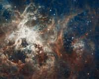 Cette image de la nébuleuse de la Tarentule est l'une des plus grandes mosaïques réalisées à partir des clichés pris par le télescope spatial Hubble, qui fête ses 22 ans. © Nasa/Esa/ESO