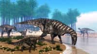Un reste fossilisé d’une partie d’un cerveau de dinosaure a été découvert pour la première fois. Le dinosaure en question était un herbivore apparenté à l’iguanodon. Ici, une représentation d'artiste d'un troupeau d'iguanodons, au Crétacé. © Elenarts, Shutterstock 