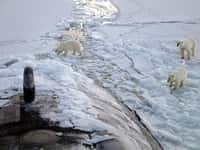 En Arctique, il existe peu de stations de mesure de la température de surface. Pourtant, cette région est celle du monde qui se réchauffe le plus rapidement, et qui en conséquence influence grandement le réchauffement global. © United States Navy, DP