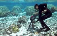 Ved Chirayath&nbsp;prend en photo les&nbsp;récifs coralliens sous l'eau, à l'aide d'un appareil&nbsp;à 360°.&nbsp;© Dan Griffin, Université&nbsp;Stanford