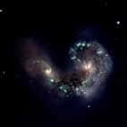 Cliquer ici pour agrandir l'imageLes antennes, NGC4039 : sous la force liée à la collision de deux galaxies, des étoiles se forment de maniè