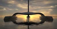 Ce trimaran au design futuriste est le concept du bateau autonome Mayflower Autonomous Research Ship qui devrait prendre la mer en 2020. Propulsé par le vent et des moteurs électriques à énergie solaire, il doit traverser l’Atlantique en partant de Plymouth (Royaume-Uni) pour rallier Plymouth dans l’État du Massachusetts aux États-Unis. © Shuttlewoth Design