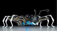 La société allemande Festo est spécialisée dans la conception de systèmes industriels automatisés. Pour développer ses technologies, elle développe des robots qui s’inspirent au plus près du vivant. © Festo