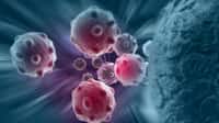 Une destruction partielle des cellules cancéreuses du foie suffirait à stimuler le système immunitaire. © Vitanovski, Fotolia