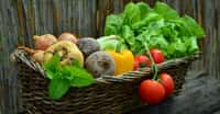 Les légumes bio sont excellents pour la santé. © Congerdesign, Pixabay, DP