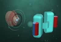 En s’inspirant du pétoncle, les chercheurs de l’institut Max Planck de Stuttgart en Allemagne ont conçu un microrobot de quelques centaines de microns qui peut nager dans les fluides corporels. Dans un avenir pas très lointain, cet engin pourrait être injecté dans le corps pour diffuser des traitements médicaux. © Max Planck Institute