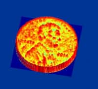 Cette image en 3D d’une pièce de monnaie d’un penny a été réalisée avec la puce nanophotonique développée par le California Institute of Technology à 50 centimètres de distance. © Ali Hajimiri, Caltech