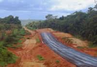 Les routes sont souvent construites illégalement dans le coeur de l'Amazonie. En augmentation, ce réseau routier modifie l'écologie du bassin amazonien et favorise le déboisement.&nbsp;©&nbsp;Toby Gardner