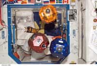 Ces petits robots colorés font partie de l'équipage de la Station spatiale internationale. Munis d’un système de propulsion autonome, ils servent à mener des expérimentations. En les couplant au dernier prototype de smartphone 3D développé par Google, la Nasa espère en faire de véritables assistants mobiles. © Nasa