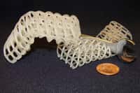 Ces structures en 3D sont faites avec le matériau à changement de forme créé par le MIT. Il est à base de mousse de polyuréthane enrobée de cire. La structure de gauche est dans son état solide après avoir adopté la forme voulue. La structure de droite est dans son état souple qui lui permet d’épouser les formes. © Massachusetts Institute of Technology