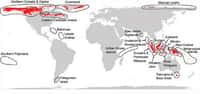 Carte des régions à risque d'extinctions rapides de mammifères