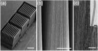 À gauche, le bloc de 1,2 mm de long portant les faisceaux de nanotubes (la barre mesure 500 micromètres). Au milieu, une vue d'une tige, légèrement pyramidale (la barre mesure 50 micromètres). À droite, détail des nanotubes alignés (la barre mesure 5 micr