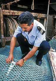 L'examen des livres de bord et l'inspection du matériel de pêche et des prises révèlent souvent si un bateau s'est livré à la pêche illégale. Crédits : FAO