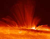 Détails de la surface du Soleil fournis par Hinode.
